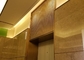 Asansör Salonu Lobisi İçin Altın Ss 304 Süs Hasır