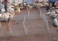 Kaynaklı Tel Gabion Sepetleri, Gabion Hasır Kutuları ISO9001 Onaylandı