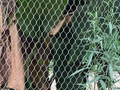 Paslanmaz Çelik İp Ağı Metal Tel Ağı Ferrule Zoo Ağı Elmas Şekilli Ağı Yapısı